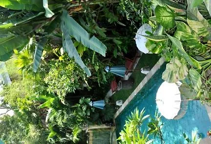 Green Chaka Eden Seminyak