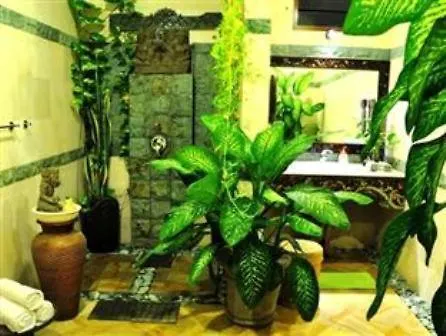 Green Chaka Eden 0*, Семиньяк Индонезия